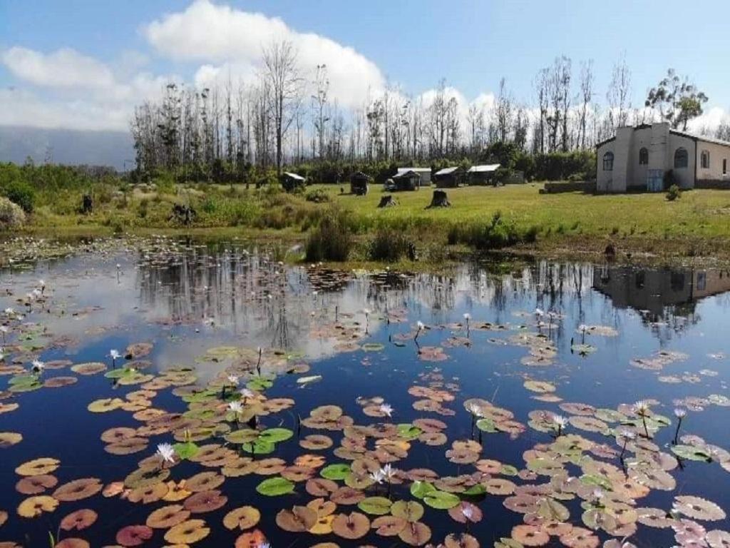 Cadeau Hiking And Accommodation Witelsbos Екстериор снимка